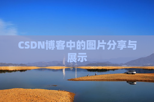 CSDN博客中的图片分享与展示